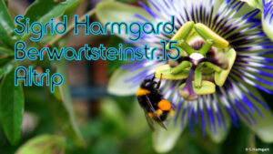 Foto von H. Krafft